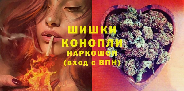 дурь Мегион