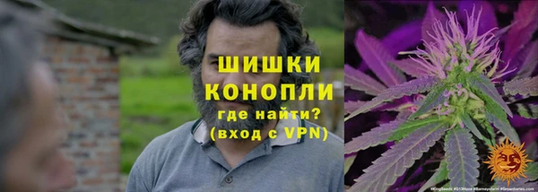 дживик Михайлов