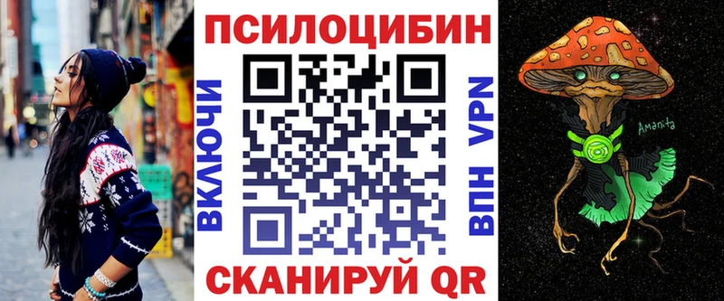 Галлюциногенные грибы прущие грибы  сайты даркнета официальный сайт  Ершов 