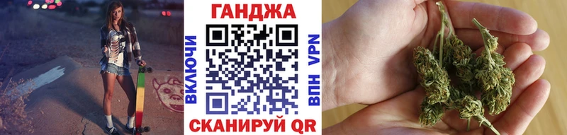 Канабис гибрид  Ершов 